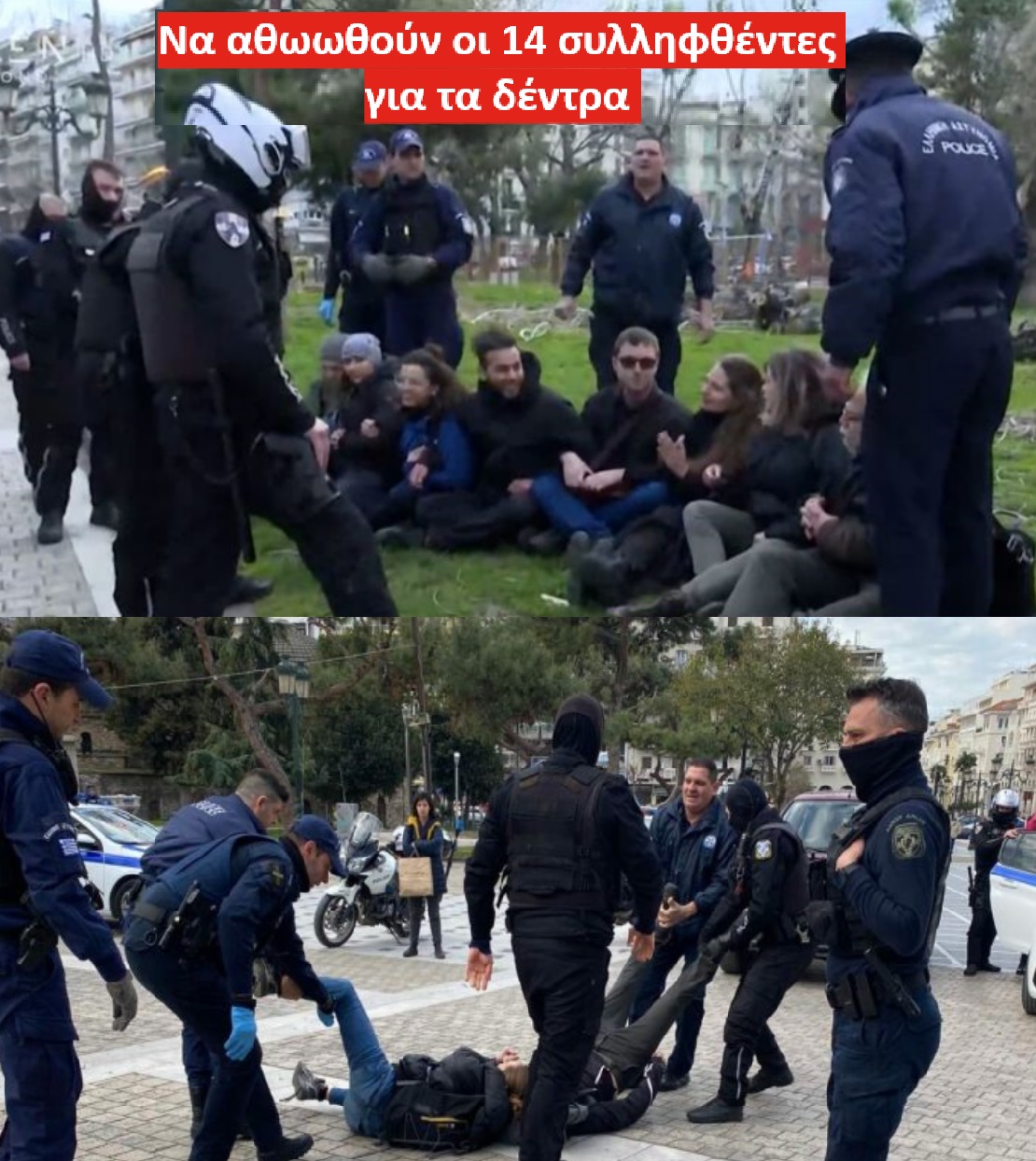 Δικάζεται η οικολογική ευαισθησία για τα δέντρα